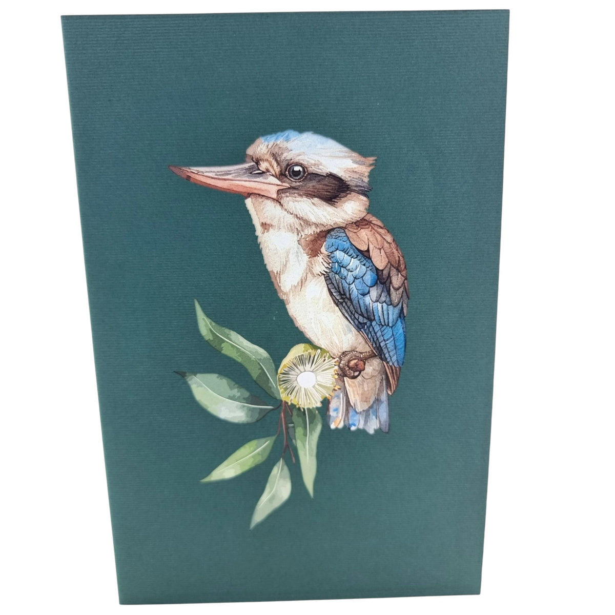 Kookaburra Pop Up Card