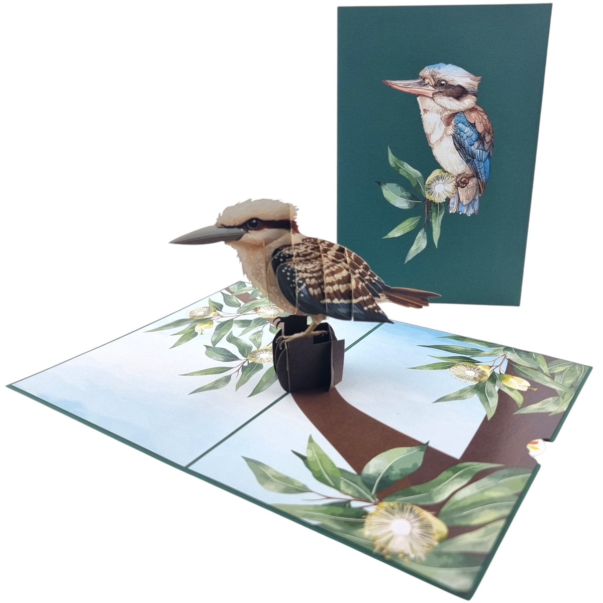 Kookaburra Pop Up Card