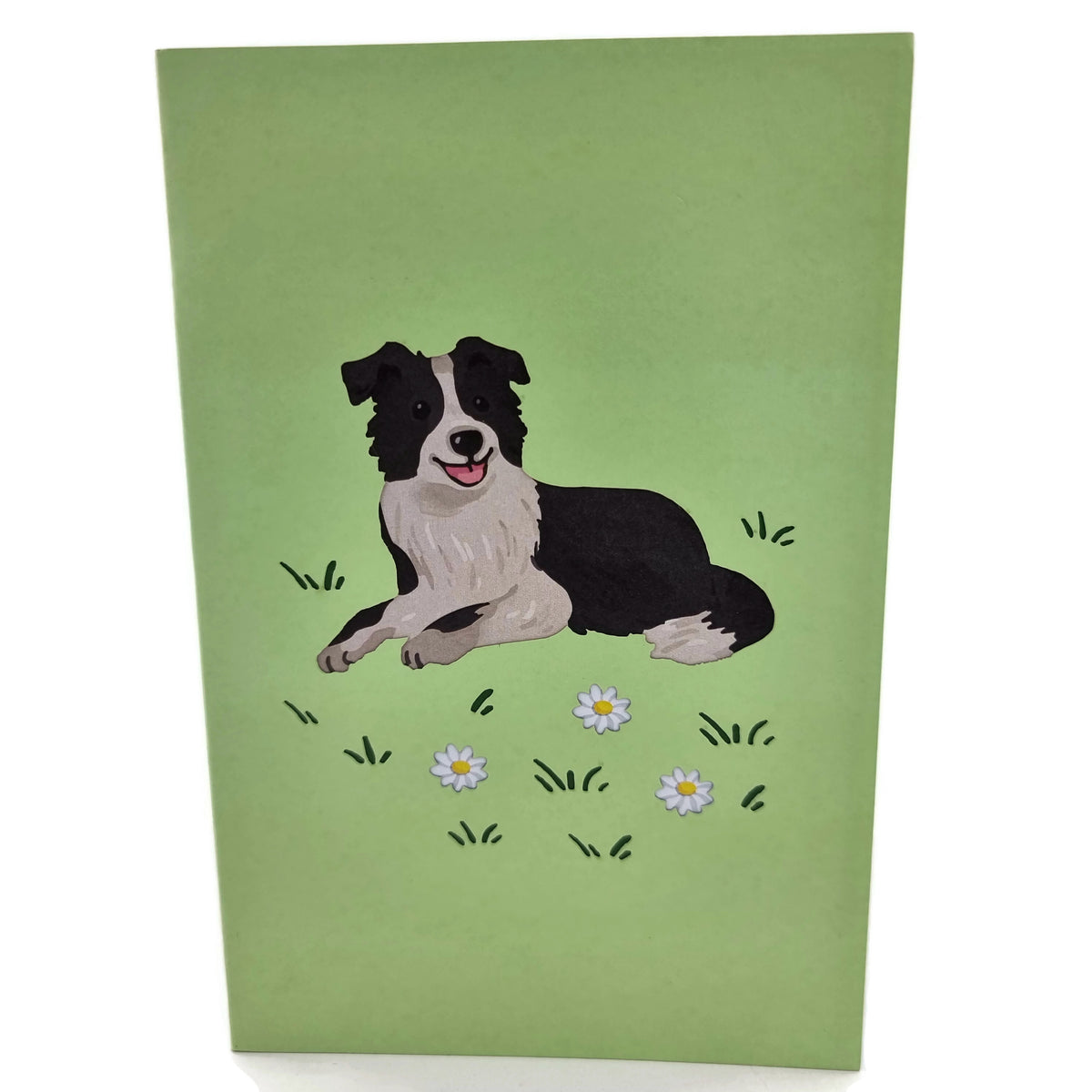 Border Collie Dog Pop Up Card