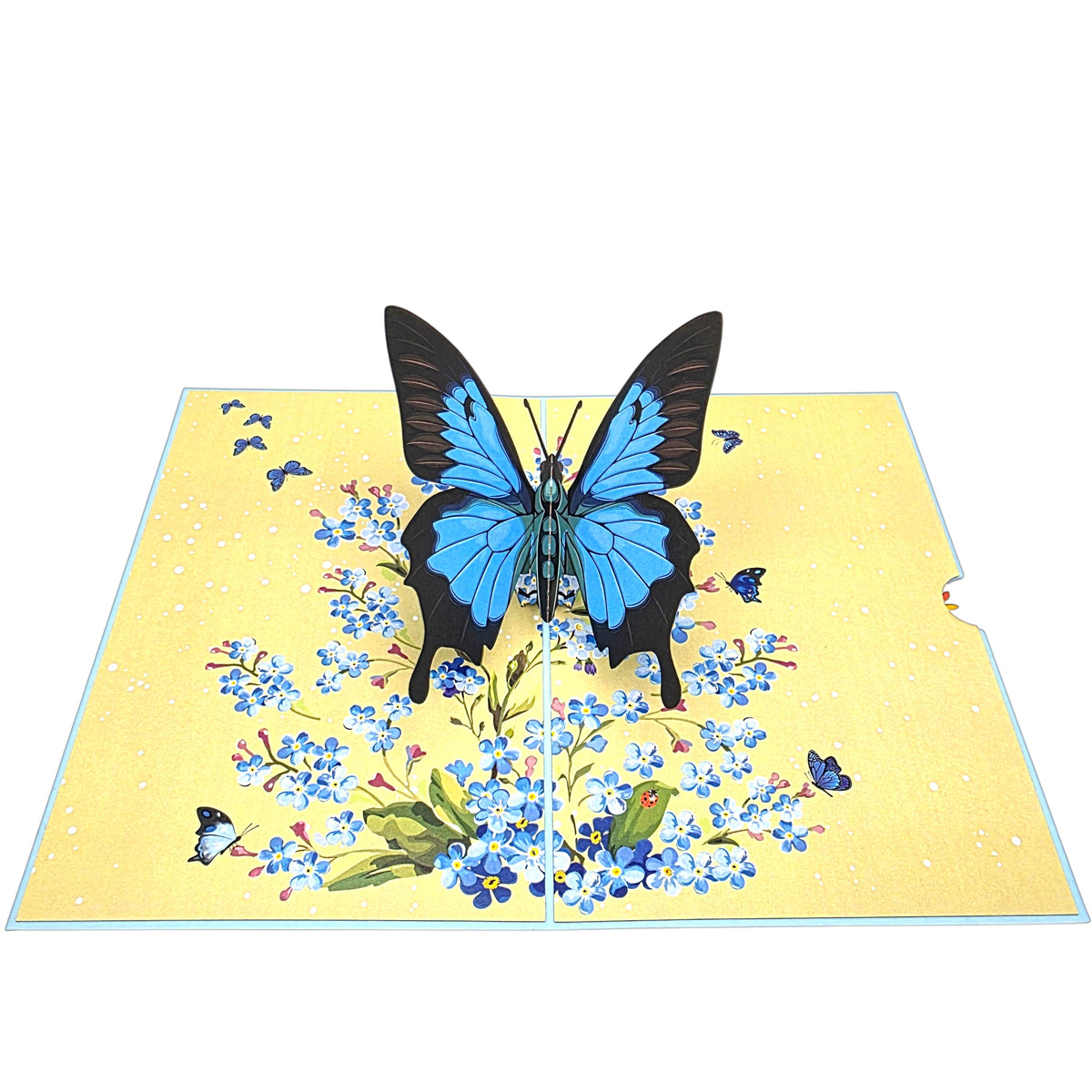 Blue Butterfly Pop Up Card