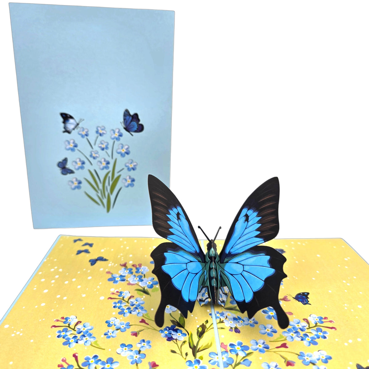 Blue Butterfly Pop Up Card
