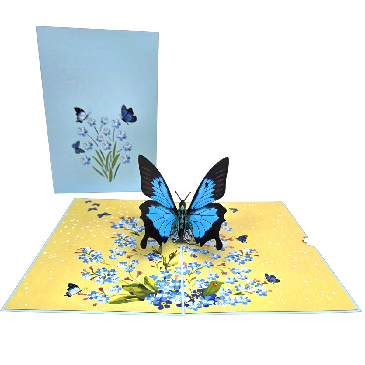 Blue Butterfly Pop Up Card