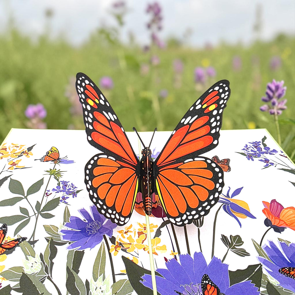 Orange Butterfly Pop Up Card