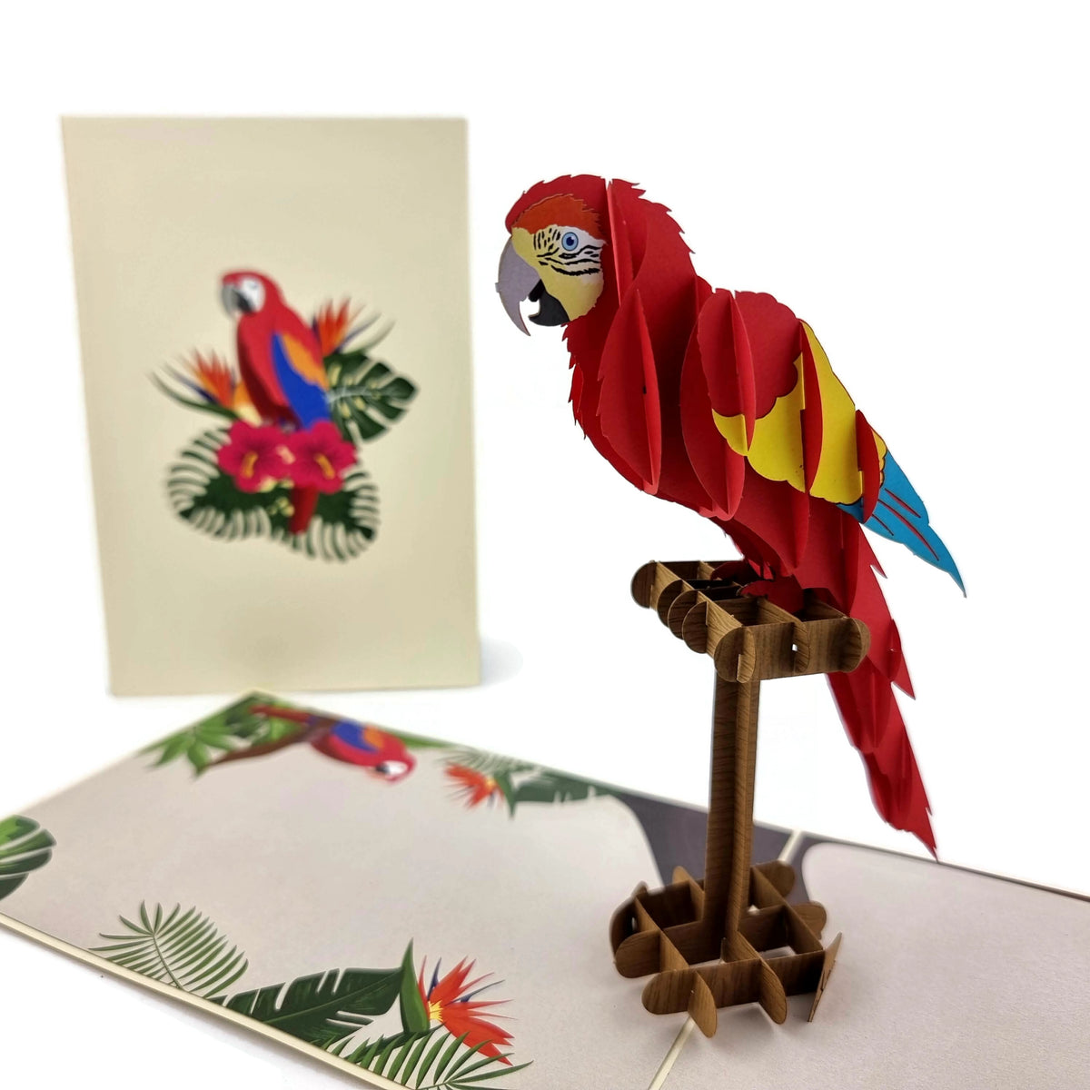 Parrot Pop Up Card