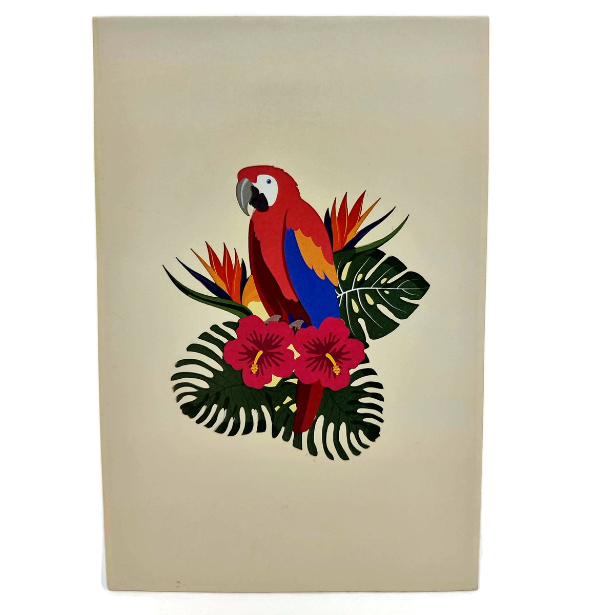 Parrot Pop Up Card