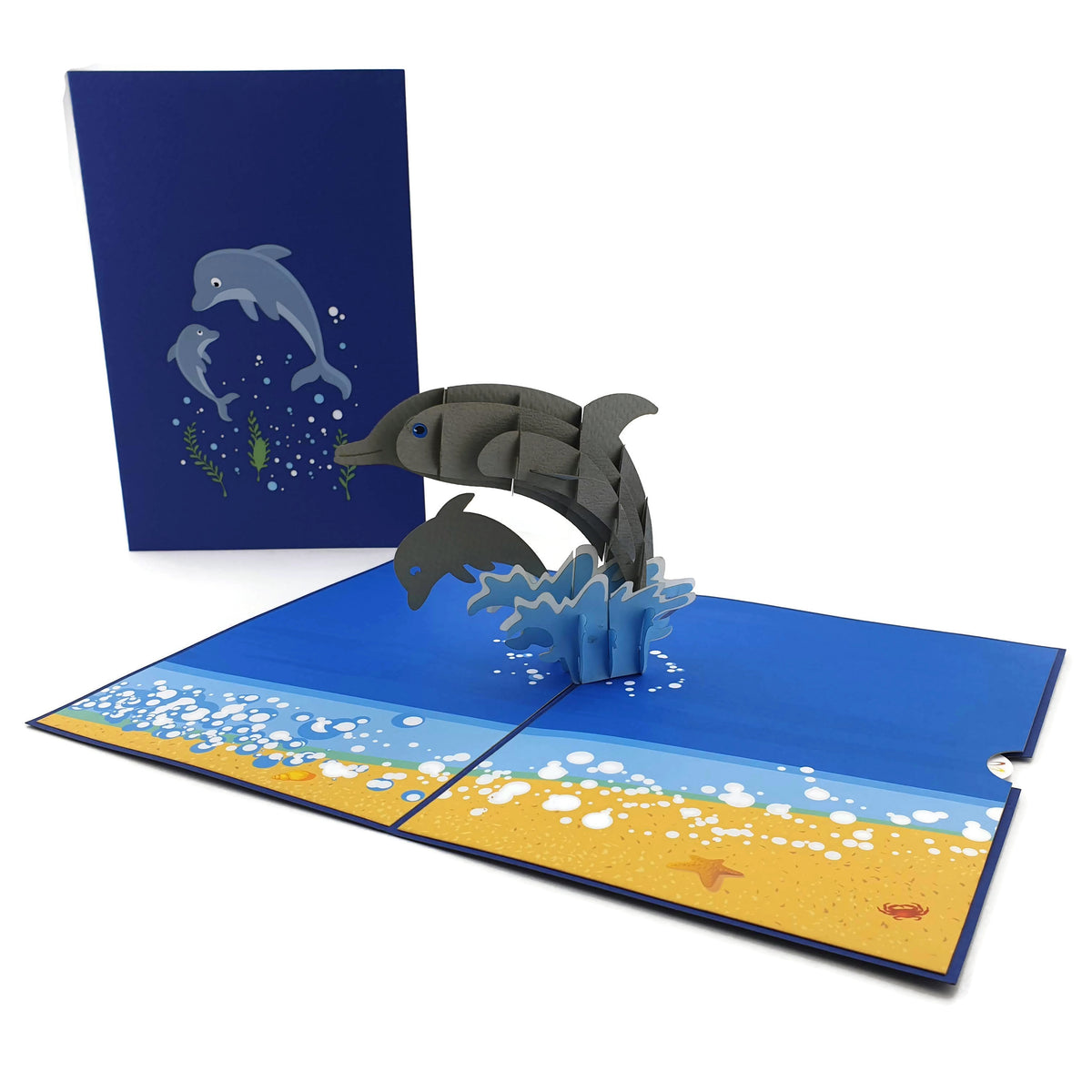 Dolphins Pop Up Card