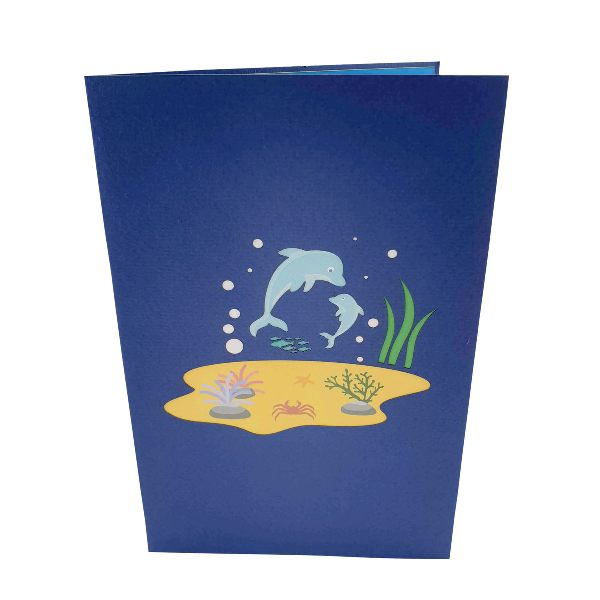 Dolphins Pop Up Card