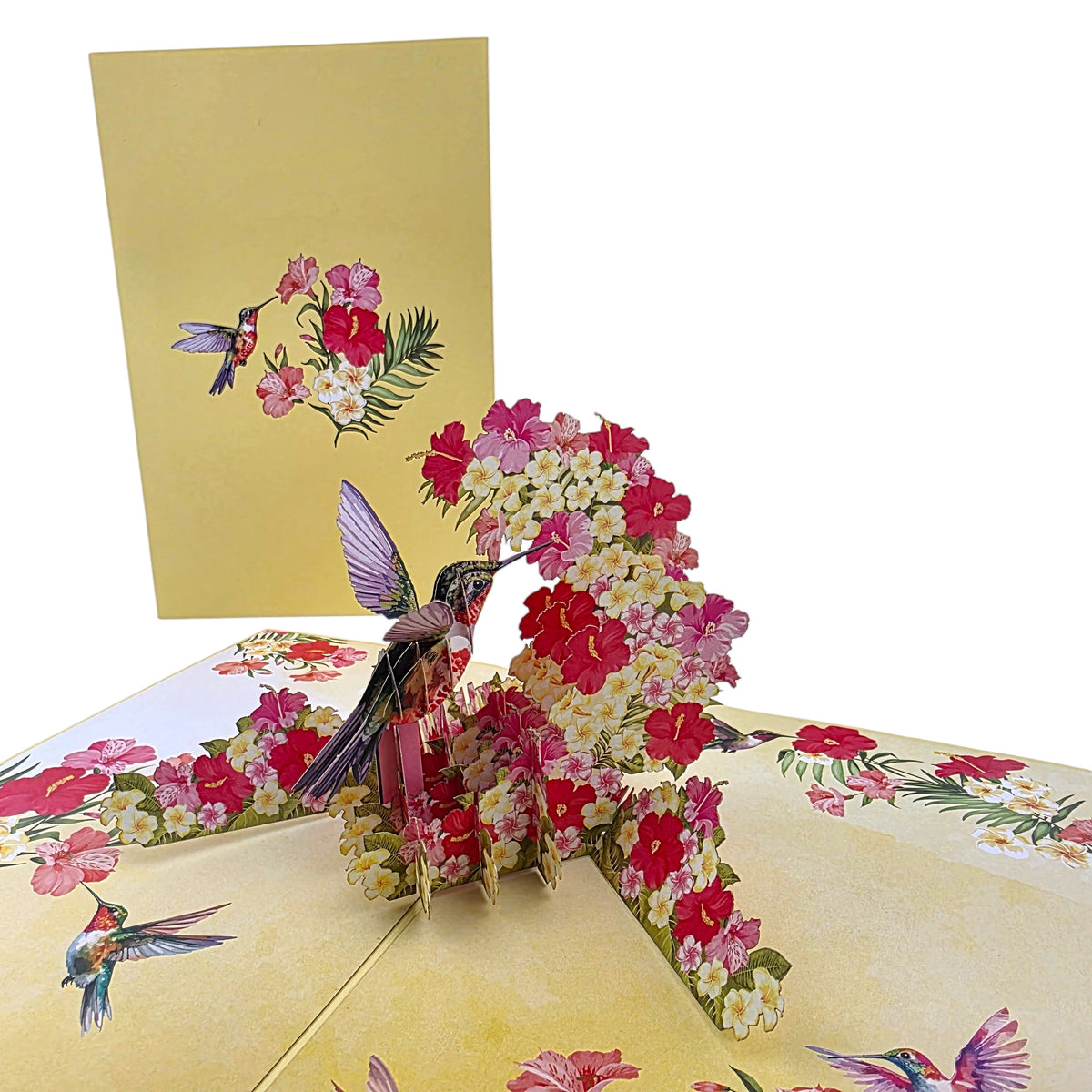Humming Bird Pop Up Card