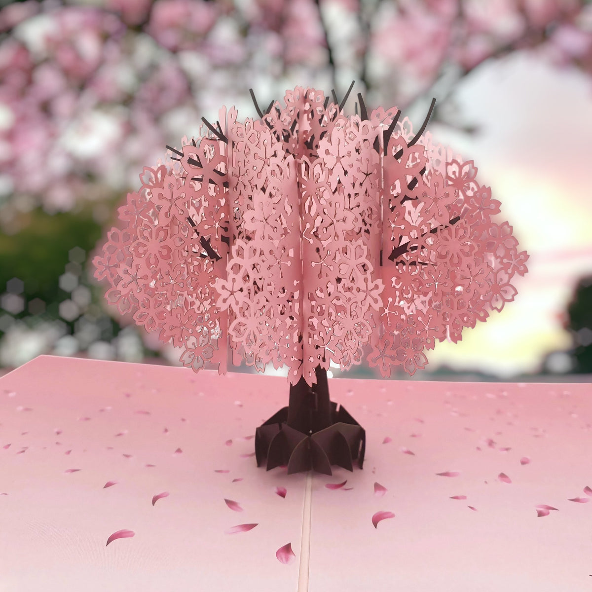 Cherry Blossom Pop Up Card