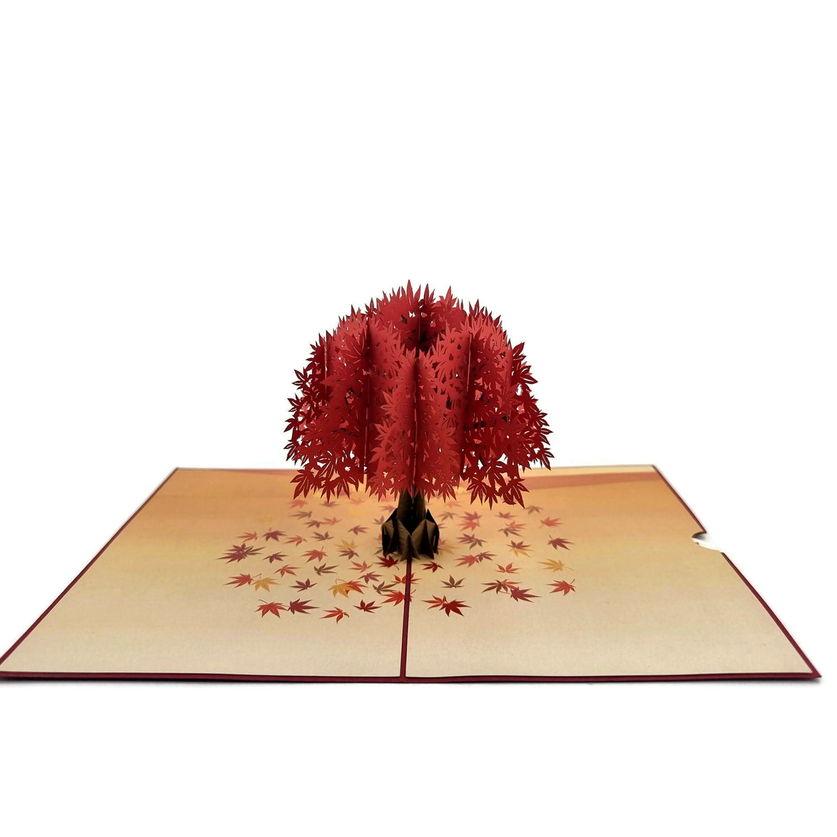 Japanese Maple Tree Pop Up Card