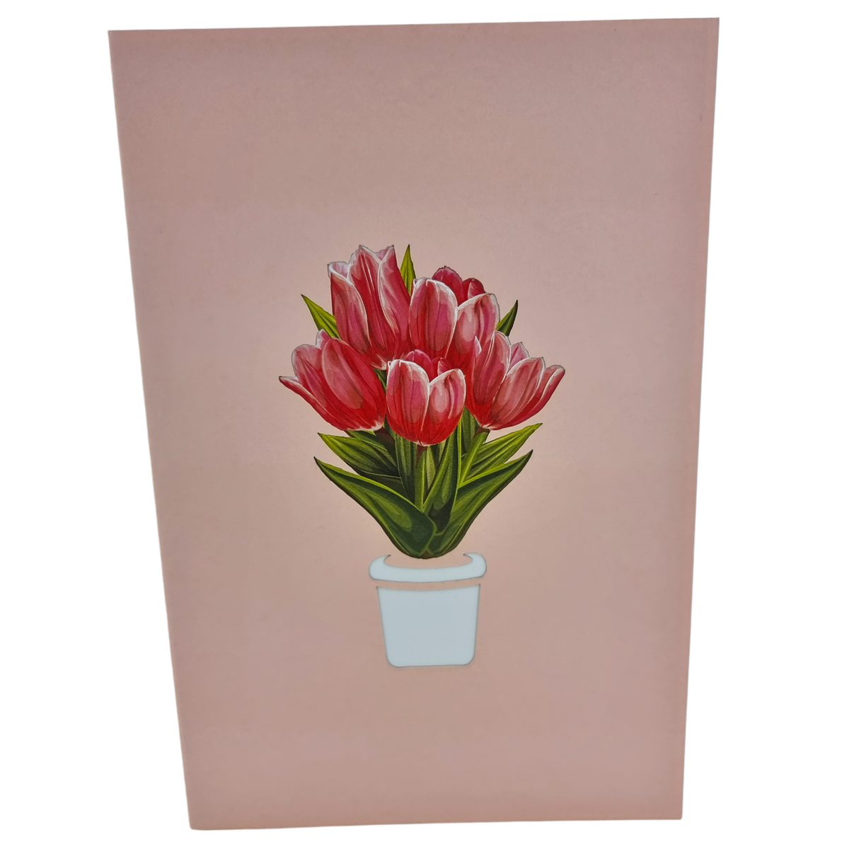 Pink Tulips Pop Up Card