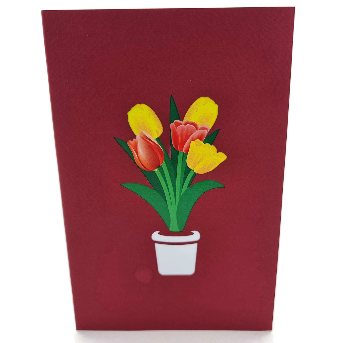 Red & Yellow Tulips Pop Up Card