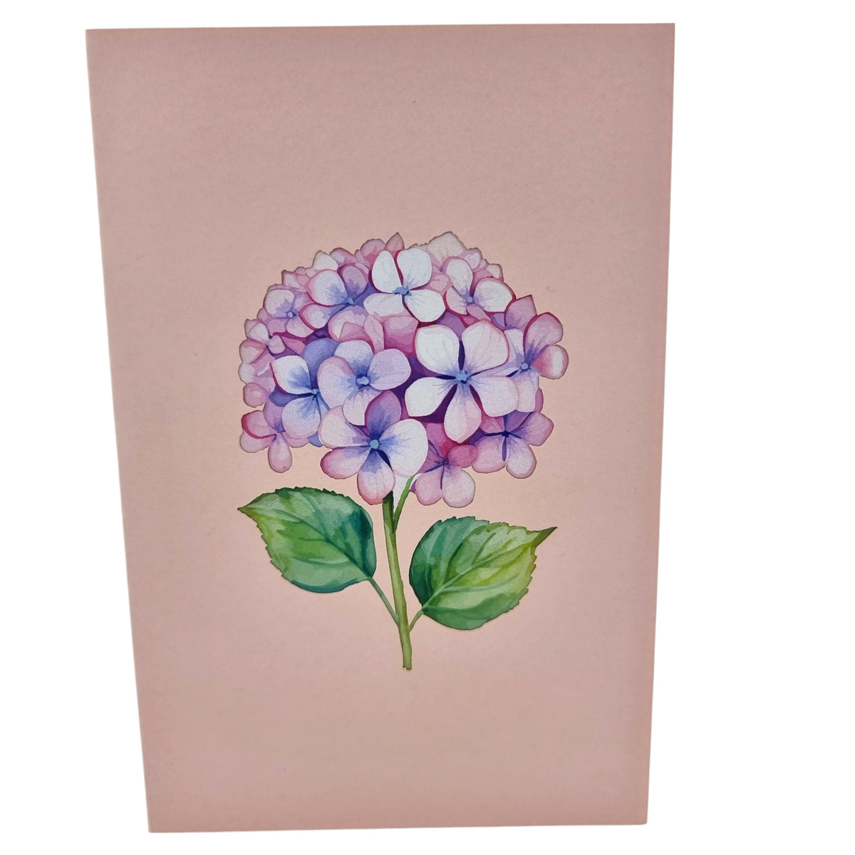 Pink Hydrangea Pop Up Card