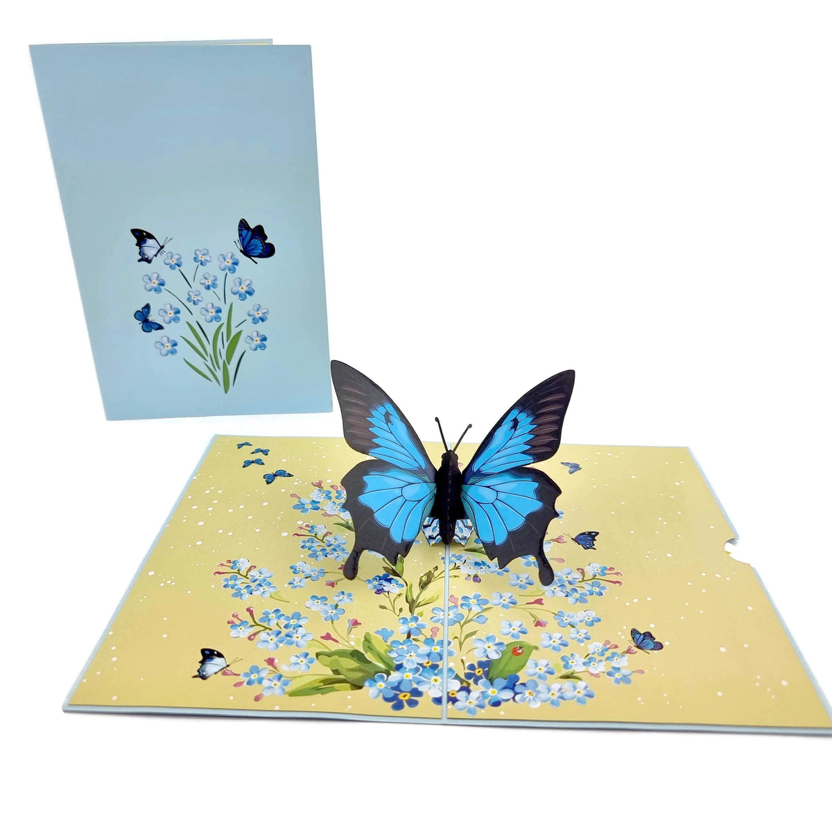 Color Pop Cards blue butterfly pop up card with flowers and butterflies. Card opens to reveal a large blue butterfly.