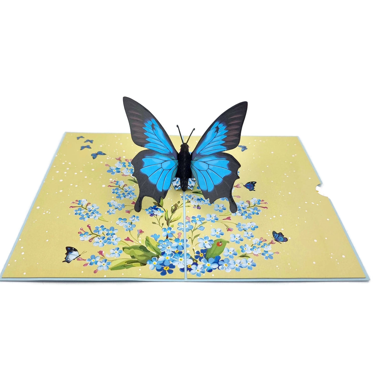 Color Pop Cards blue butterfly pop up card with flowers and butterflies on a yellow background.