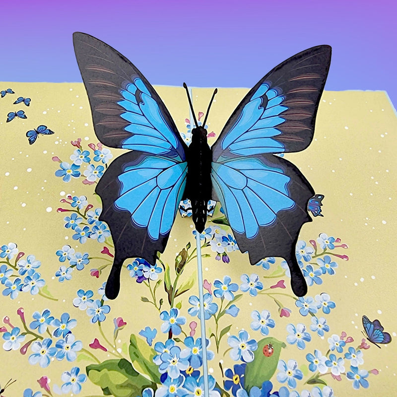 Color Pop Cards blue butterfly pop up card with floral design. Features a large blue butterfly with black accents.