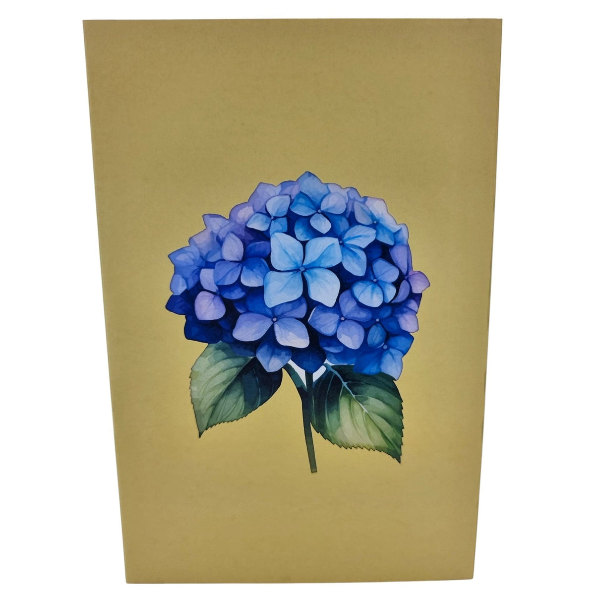 Color Pop Cards blue hydrangea pop-up greeting card with envelope and note