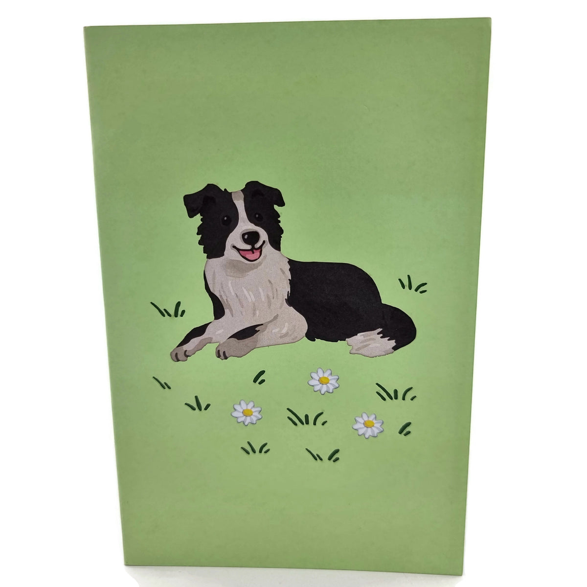 Color Pop Cards Border Collie dog pop up card with daisies and grass