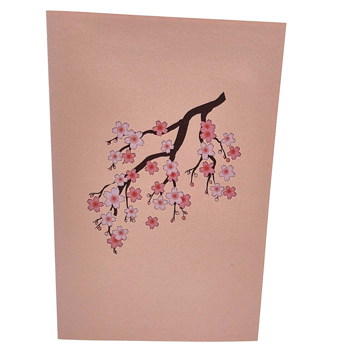Color Pop Cards cherry blossom pop up greeting card with a pink cover featuring a delicate floral branch illustration