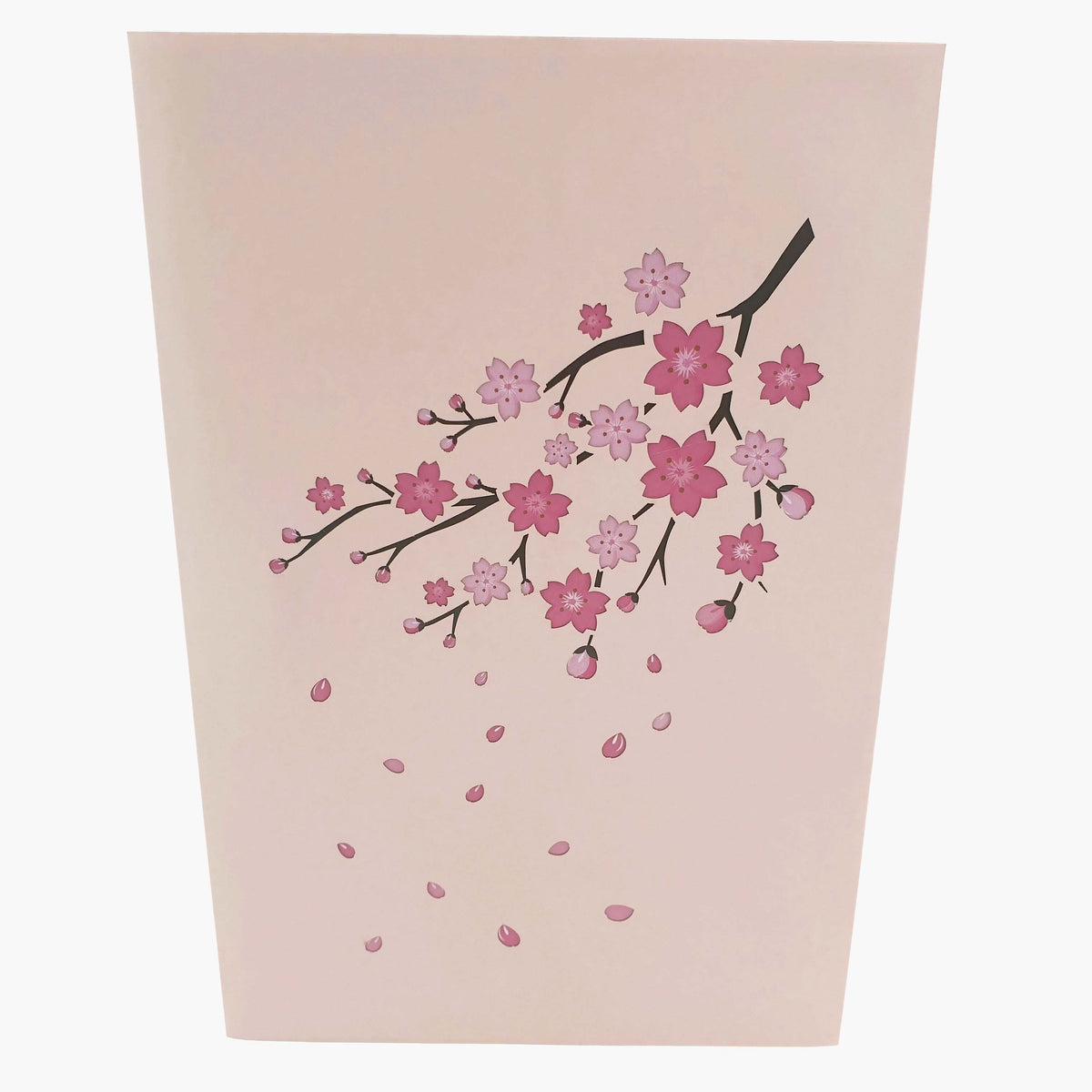 Color Pop Cards pink cherry blossom pop up card with falling petals. Features a delicate branch with pink flowers.