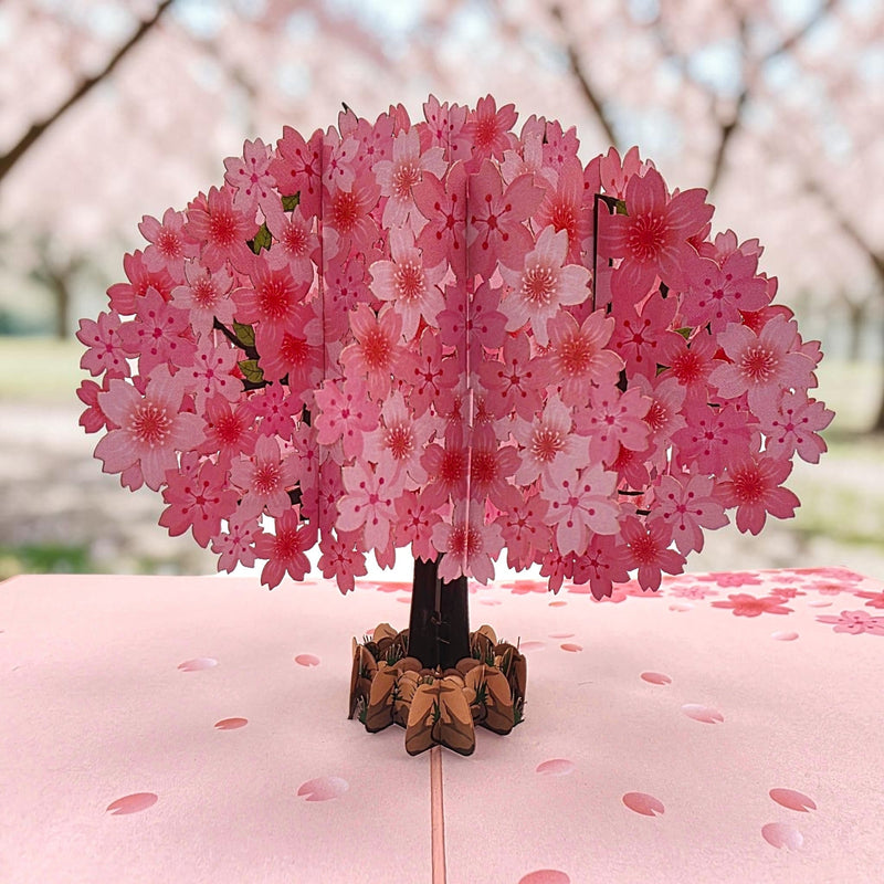 Color Pop Cards cherry blossom pop up greeting card featuring a detailed pink tree in full bloom on a pink base.