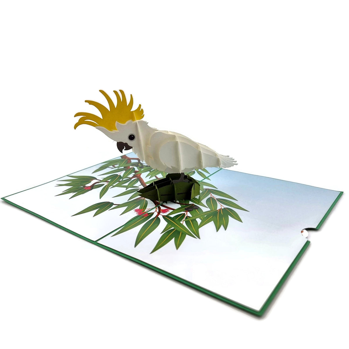 Color Pop Cards Sulphur Crested Cockatoo pop-up card with yellow crest perched on a gum tree branch.