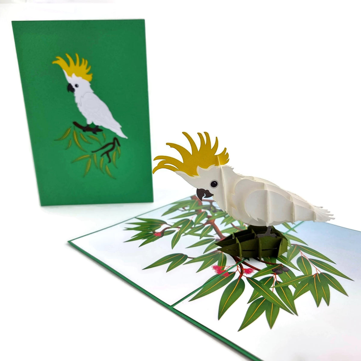Color Pop Cards Sulphur Crested Cockatoo pop-up card with 3D white bird and yellow crest on a branch.