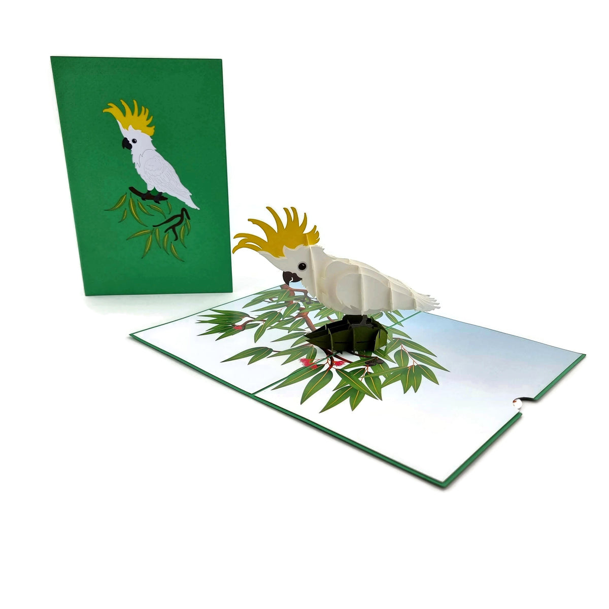 Color Pop Cards Sulphur Crested Cockatoo pop-up card with 3D white bird on a branch with green leaves and red berries.