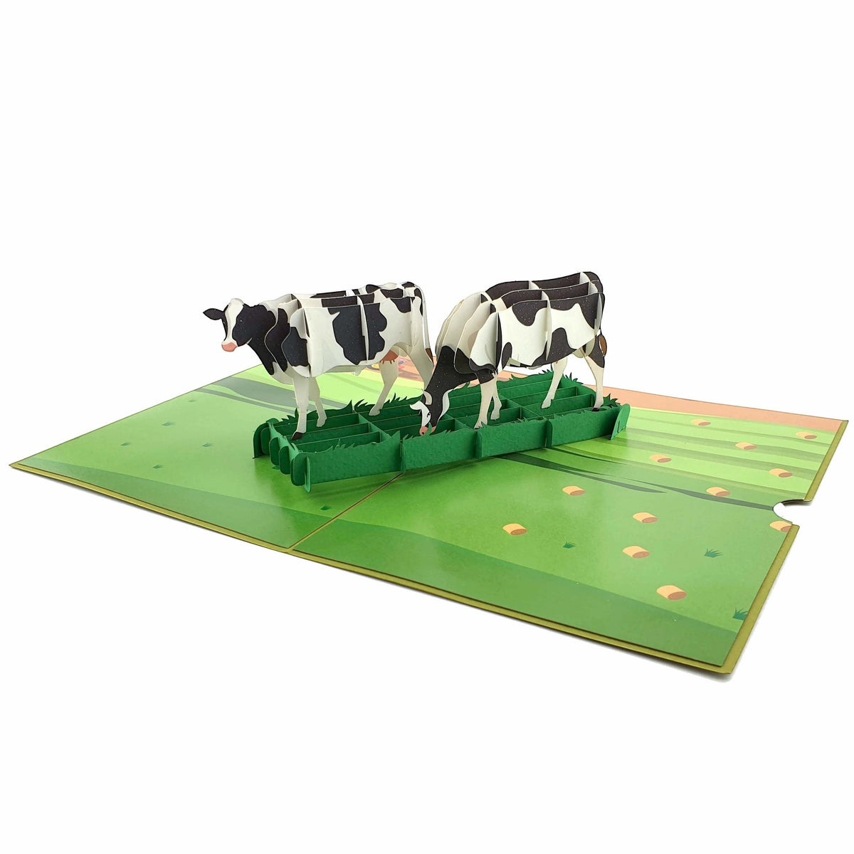 Color Pop Cards 3D pop up card featuring two black and white cows grazing in a green field. Includes envelope.