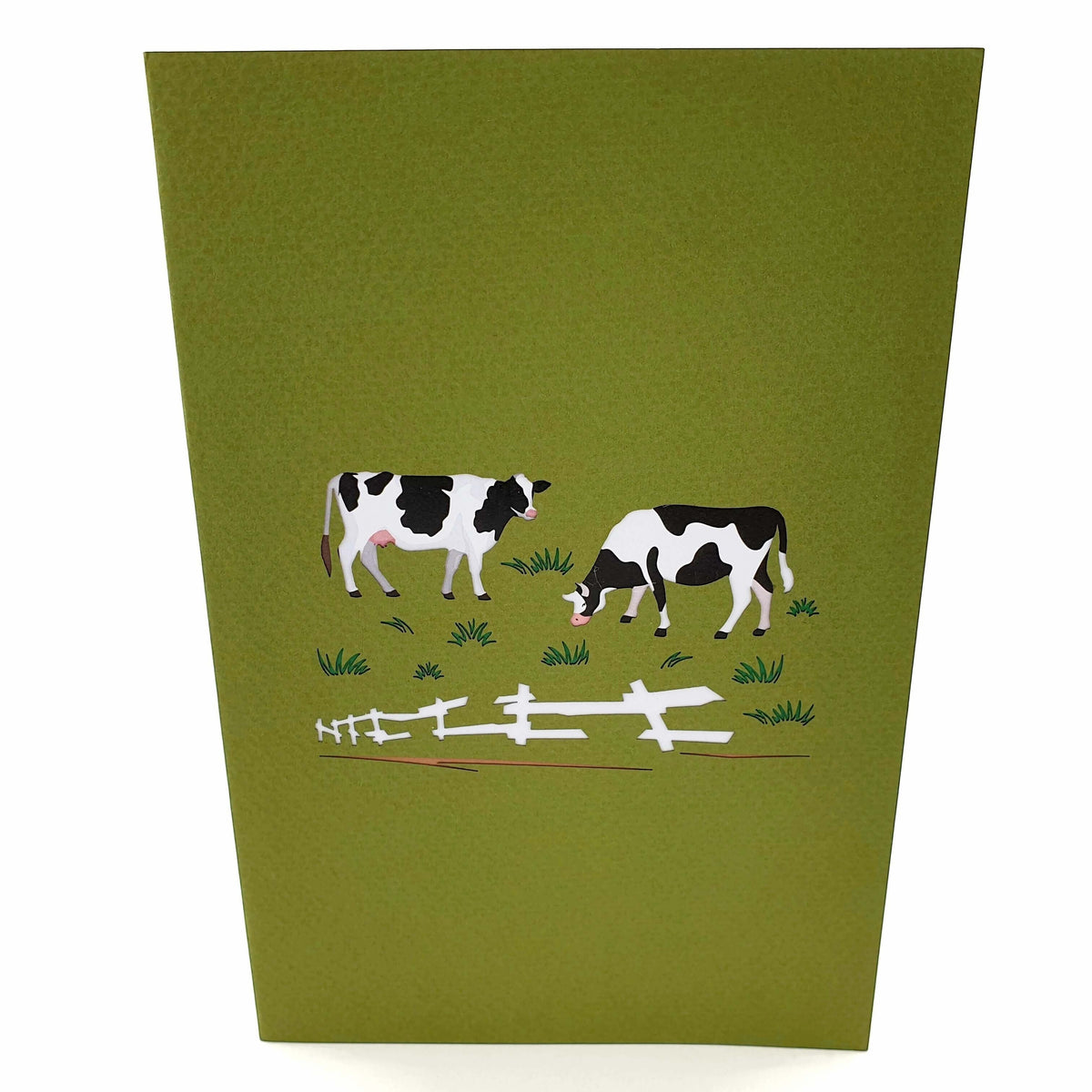 Color Pop Cards green pop up card featuring two black and white cows grazing in a field with a white fence.