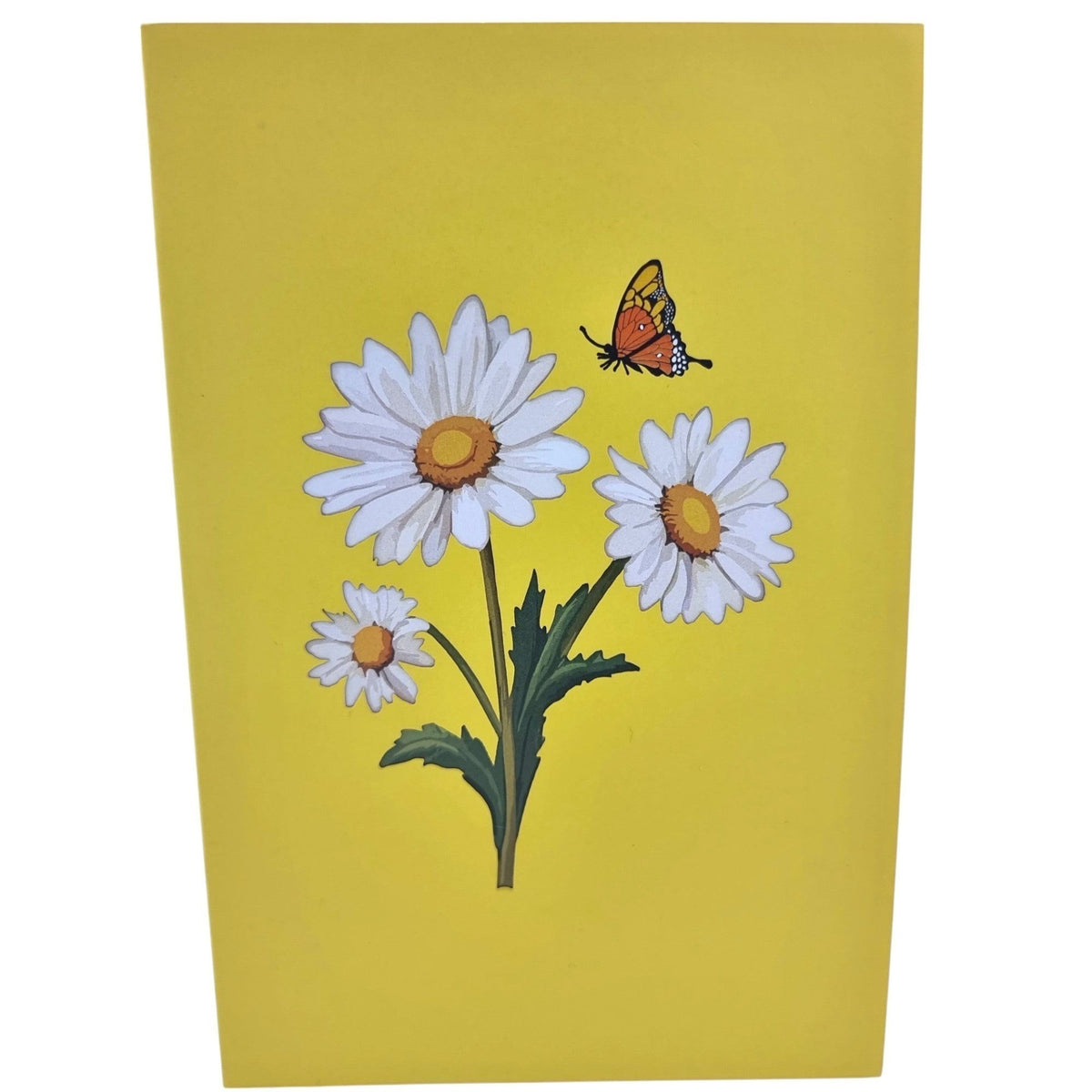 Color Pop Cards yellow pop-up card featuring white daisies and an orange butterfly on the cover.