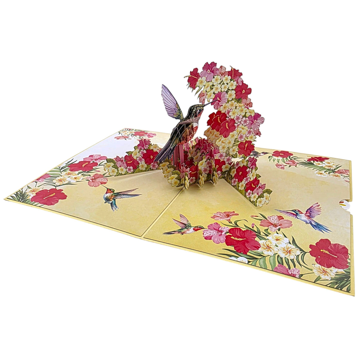 Color Pop Cards hummingbird and floral pop-up greeting card with 3D hummingbird and hibiscus flowers.