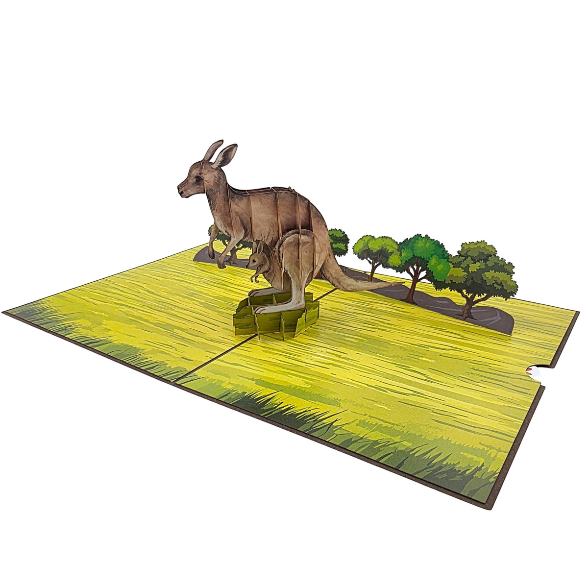 Color Pop Cards Kangaroo and Joey pop-up card with a mother kangaroo and joey in a grassy field with trees.