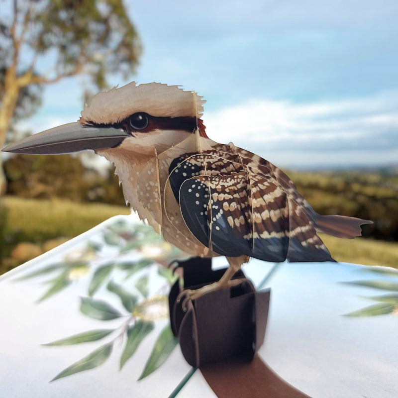 Color Pop Cards Kookaburra pop up card with intricate 3D design on a floral perch. Features brown, white, and black details.