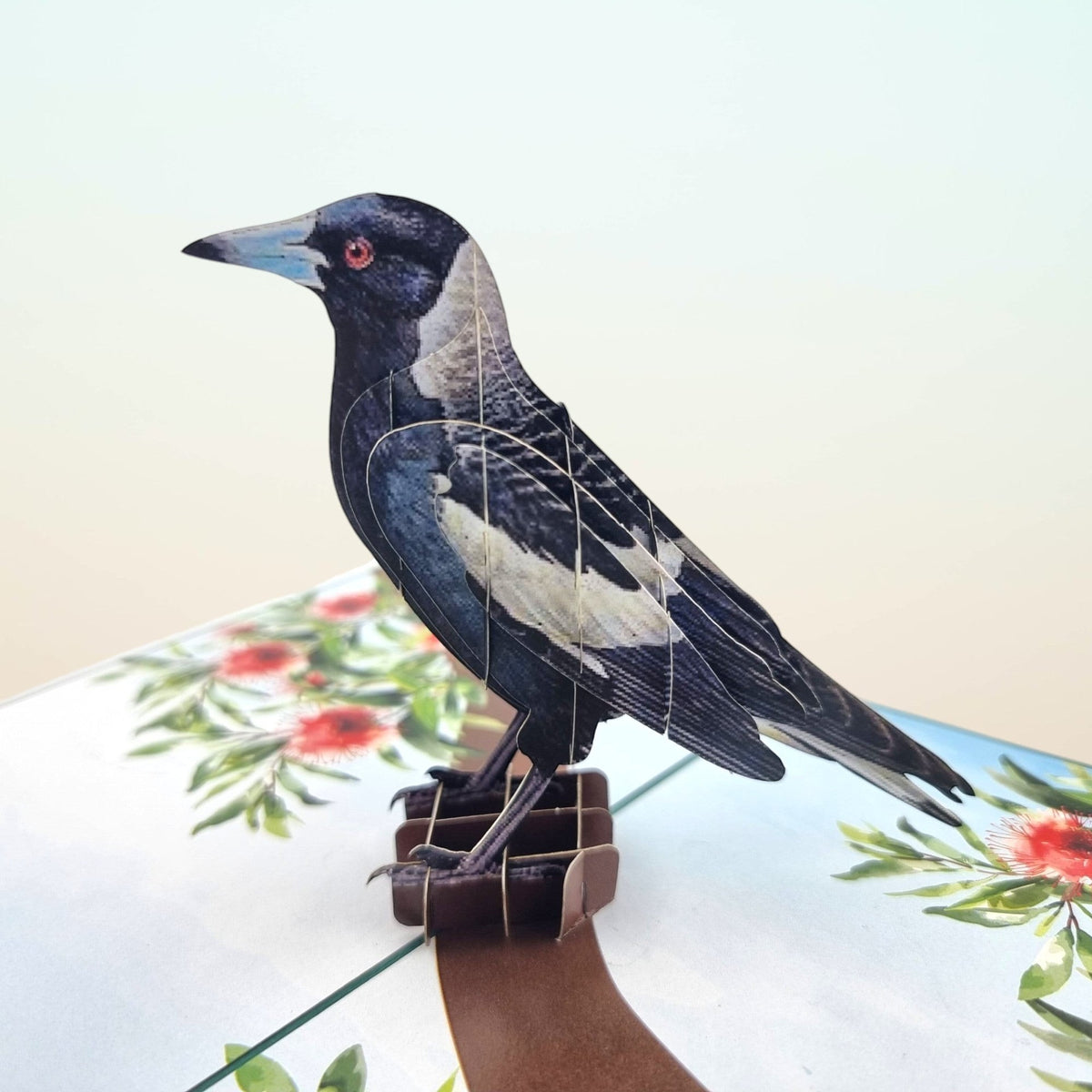 Color Pop Cards 3D pop-up card featuring a black and white Australian Magpie perched on a branch with red gumnut flowers.