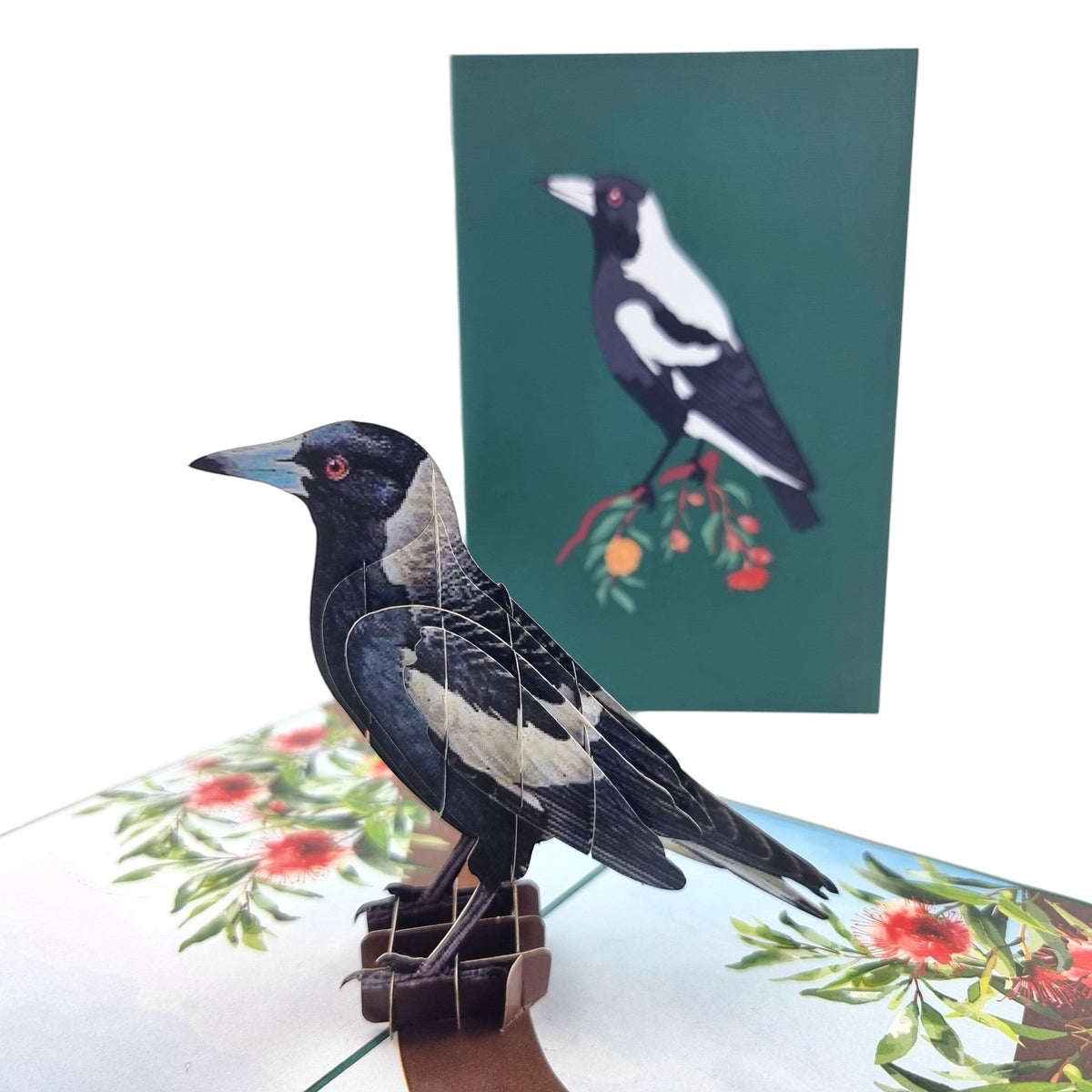 Color Pop Cards 3D pop-up card featuring a black and white magpie on a branch with red gumnut flowers.