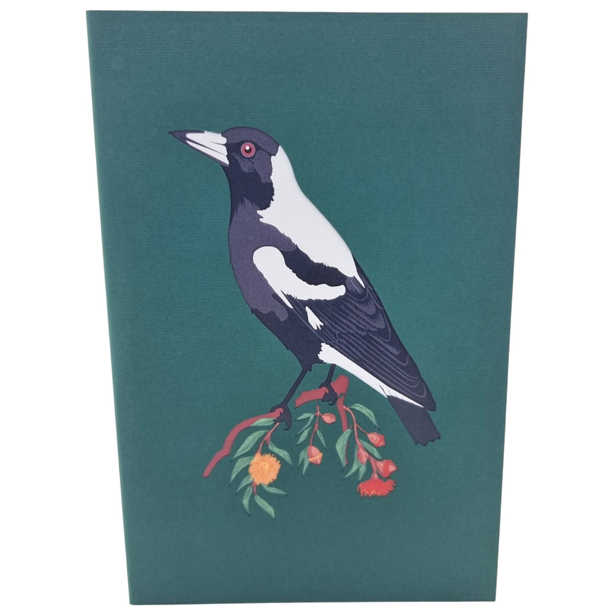 Color Pop Cards 3D Magpie pop-up card featuring a black and white magpie on a branch with red gumnut flowers.