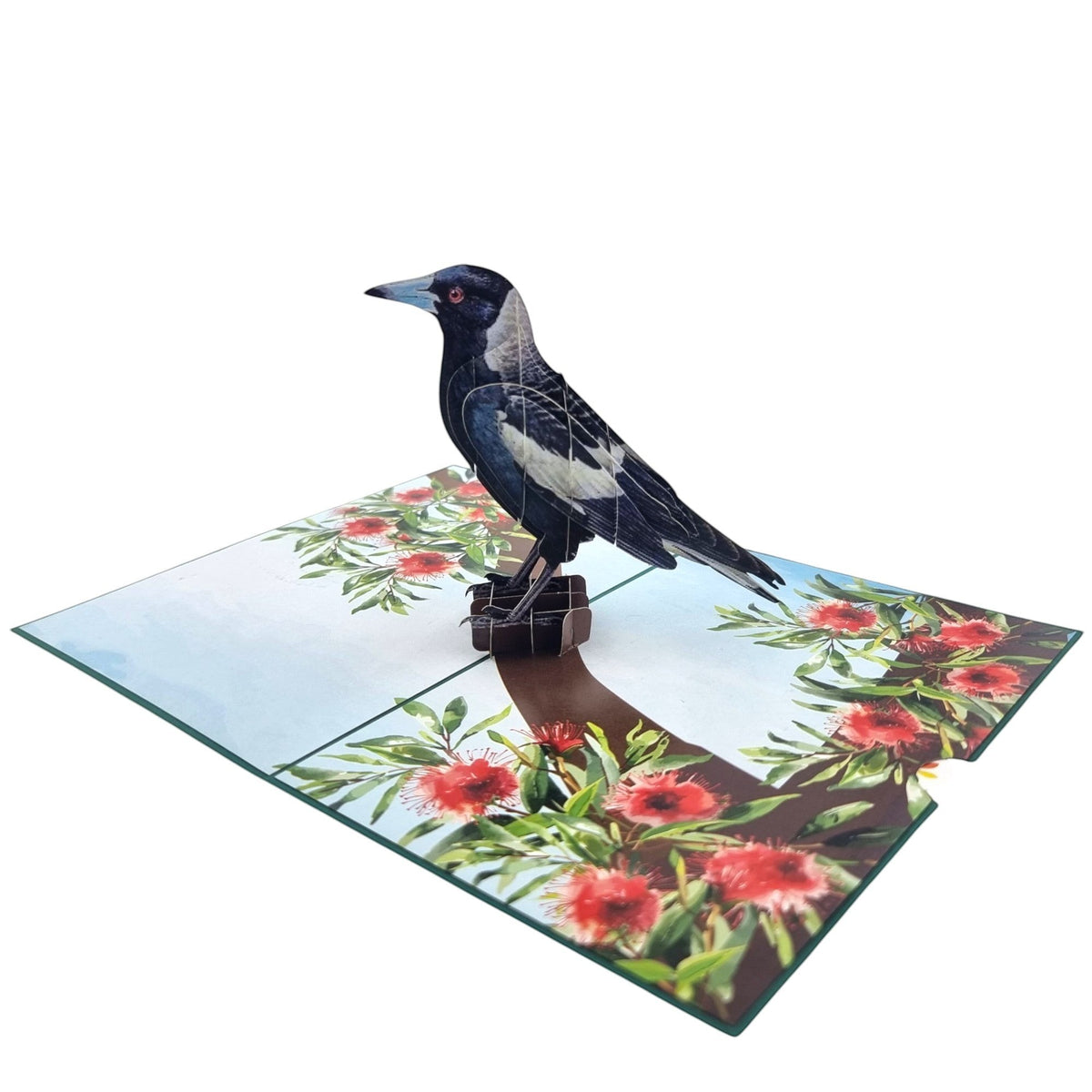 Color Pop Cards 3D pop-up card featuring a black and white magpie perched on a branch with red gumnut flowers.