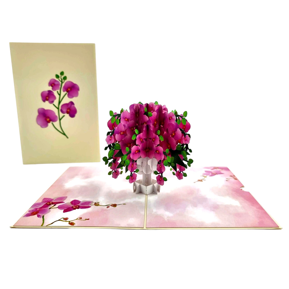 Color Pop Cards Mother's Day 3-pack featuring a pop-up orchid vase and orchid-themed cards.