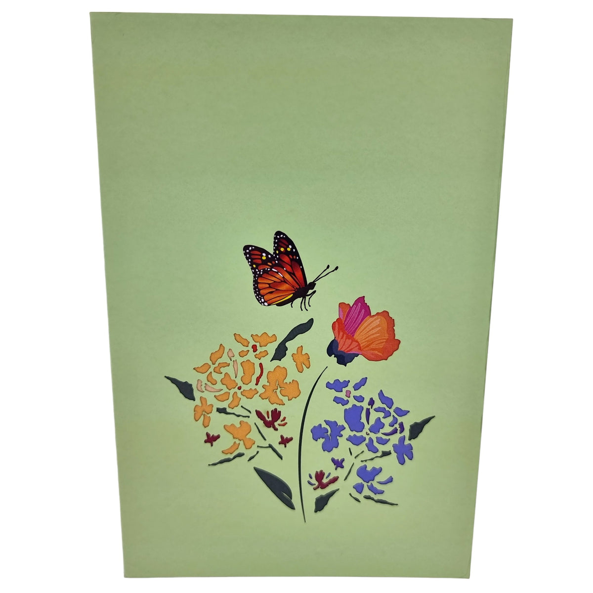 Color Pop Cards light green pop-up card with orange butterfly and colorful flowers. Includes slide-out note.