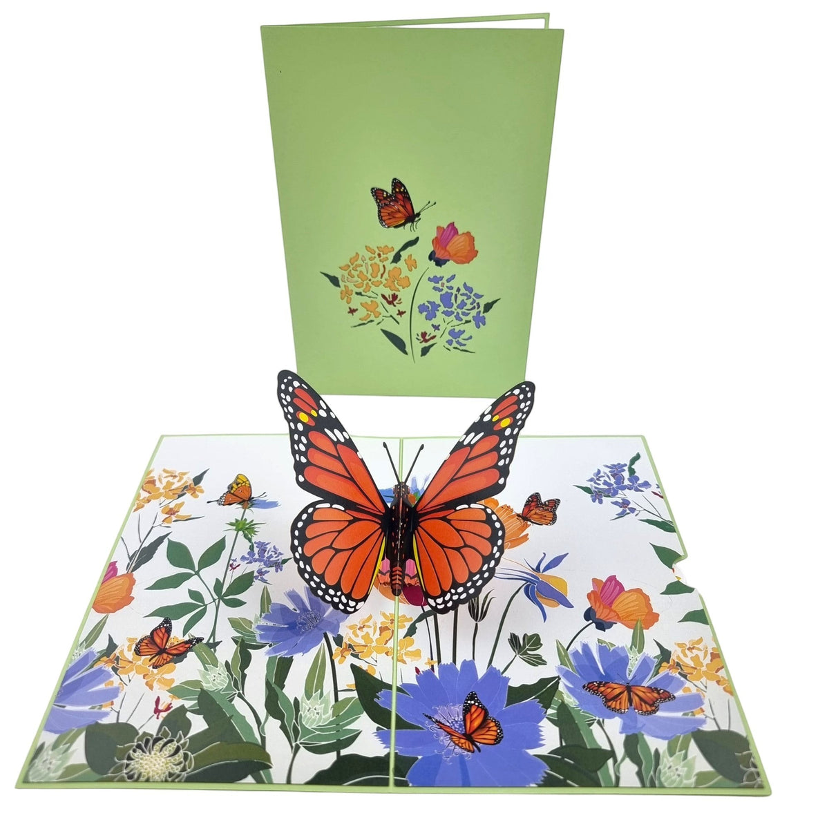 Color Pop Cards Orange Butterfly Pop Up Card with flowers and butterflies. Includes envelope and slide-out note.