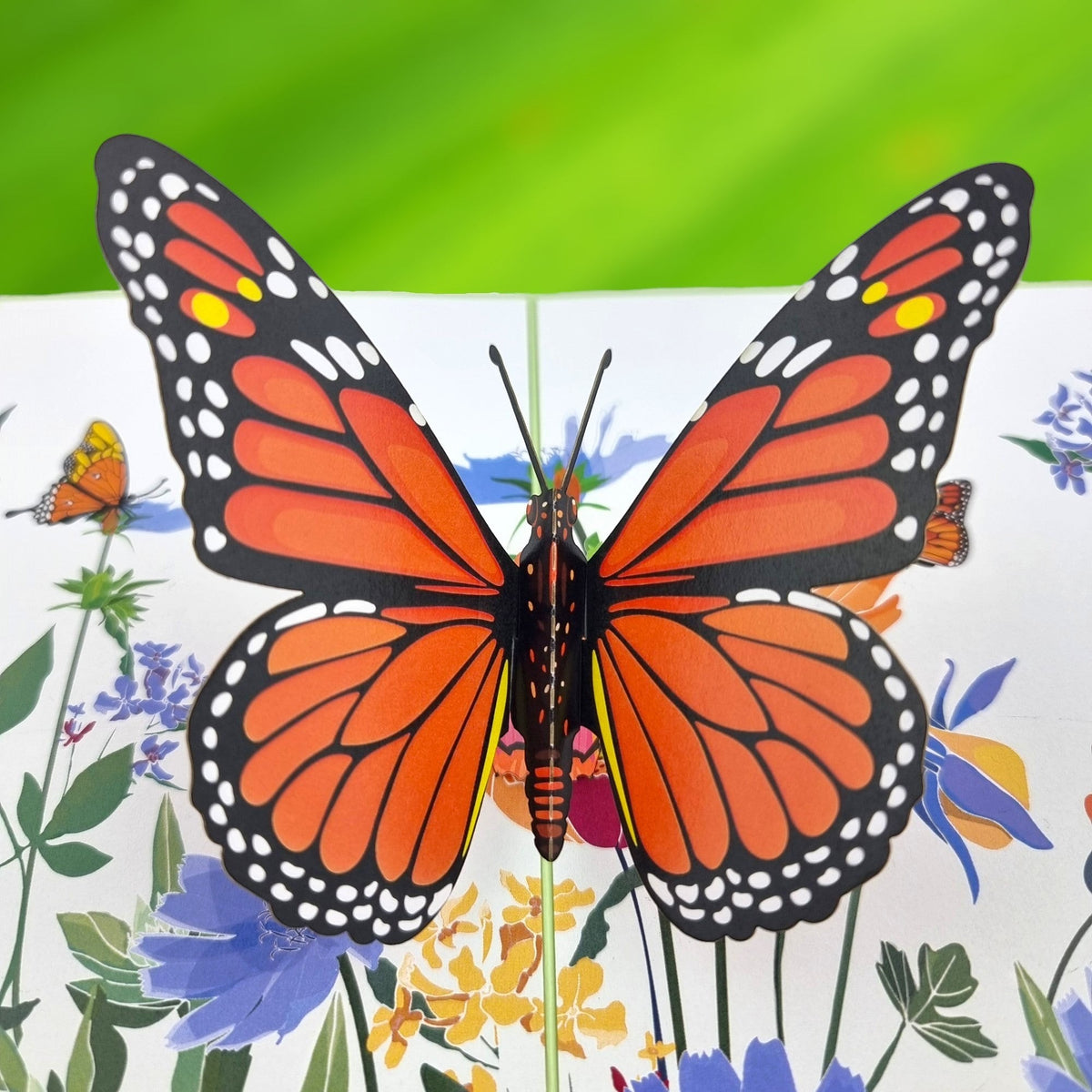 Color Pop Cards Orange Butterfly Pop Up Card with floral background and slide-out note.