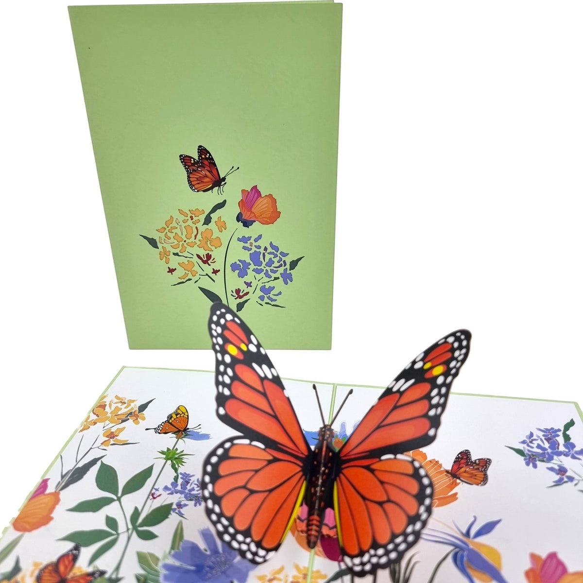 Color Pop Cards Orange Butterfly Pop Up Card with floral design and 3D butterfly.