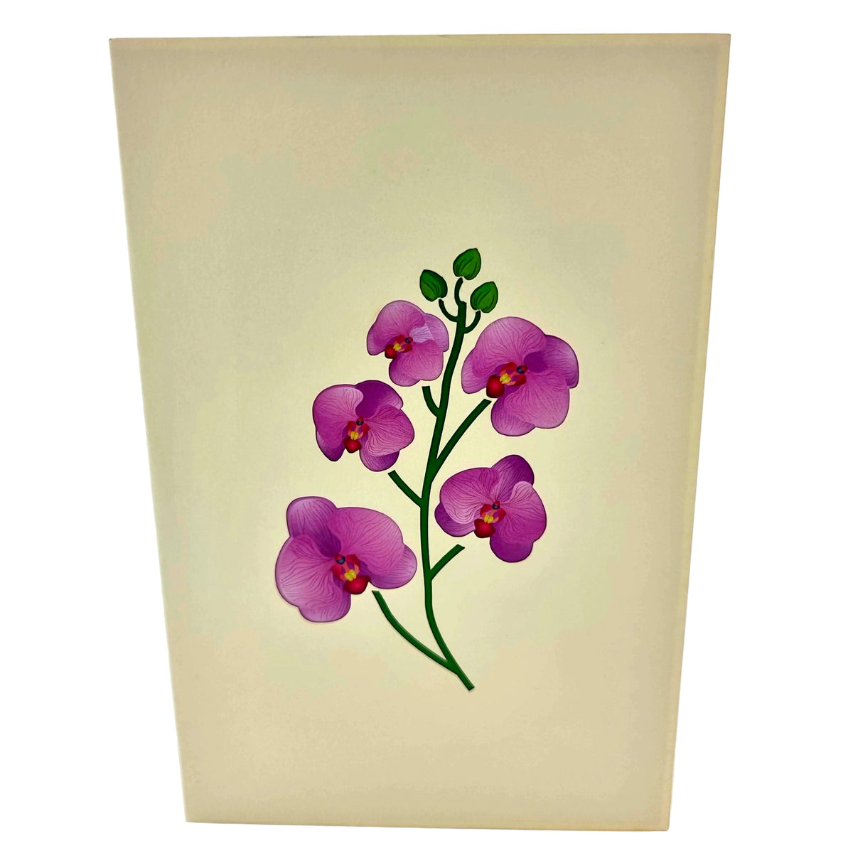 Color Pop Cards Orchid Bouquet Pop Up Card with pink orchids and green stems on a cream background.