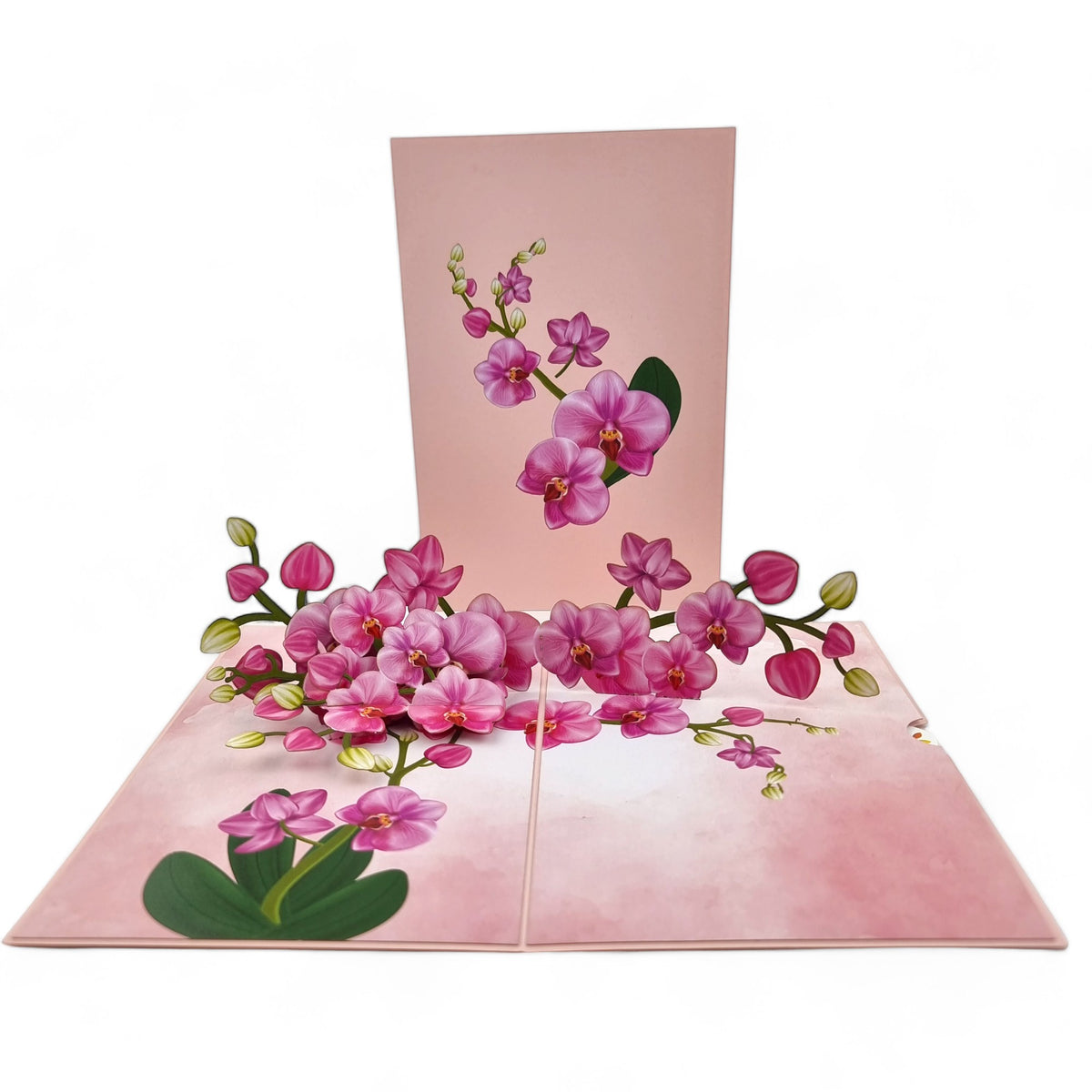 Color Pop Cards pink orchid pop up greeting card with green leaves, 12x18 cm.