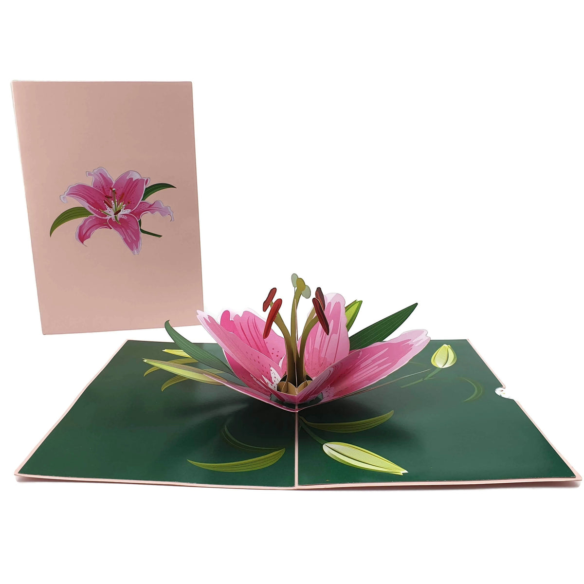 Color Pop Cards pink lily pop-up card with green accents and a pink card cover featuring a lily illustration.