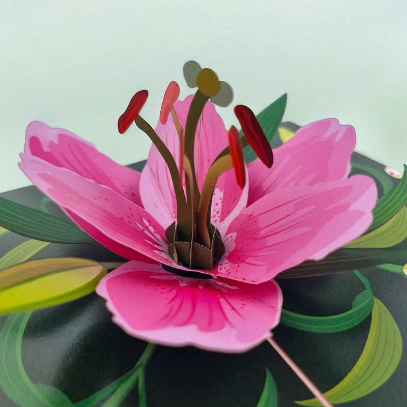 Color Pop Cards pink lily pop up greeting card with detailed petals and stamen. Blank interior for messages.