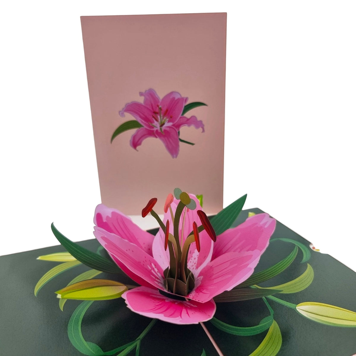 Color Pop Cards Pink Lily Pop Up Card with detailed 3D flower and illustration on front. Perfect for any occasion.