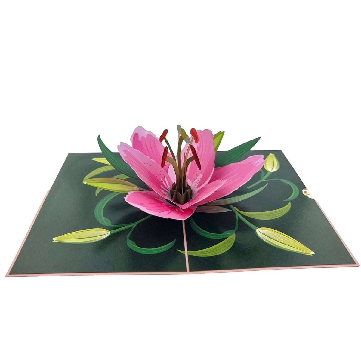 Color Pop Cards pink lily pop up greeting card with green leaves and buds, blank interior.