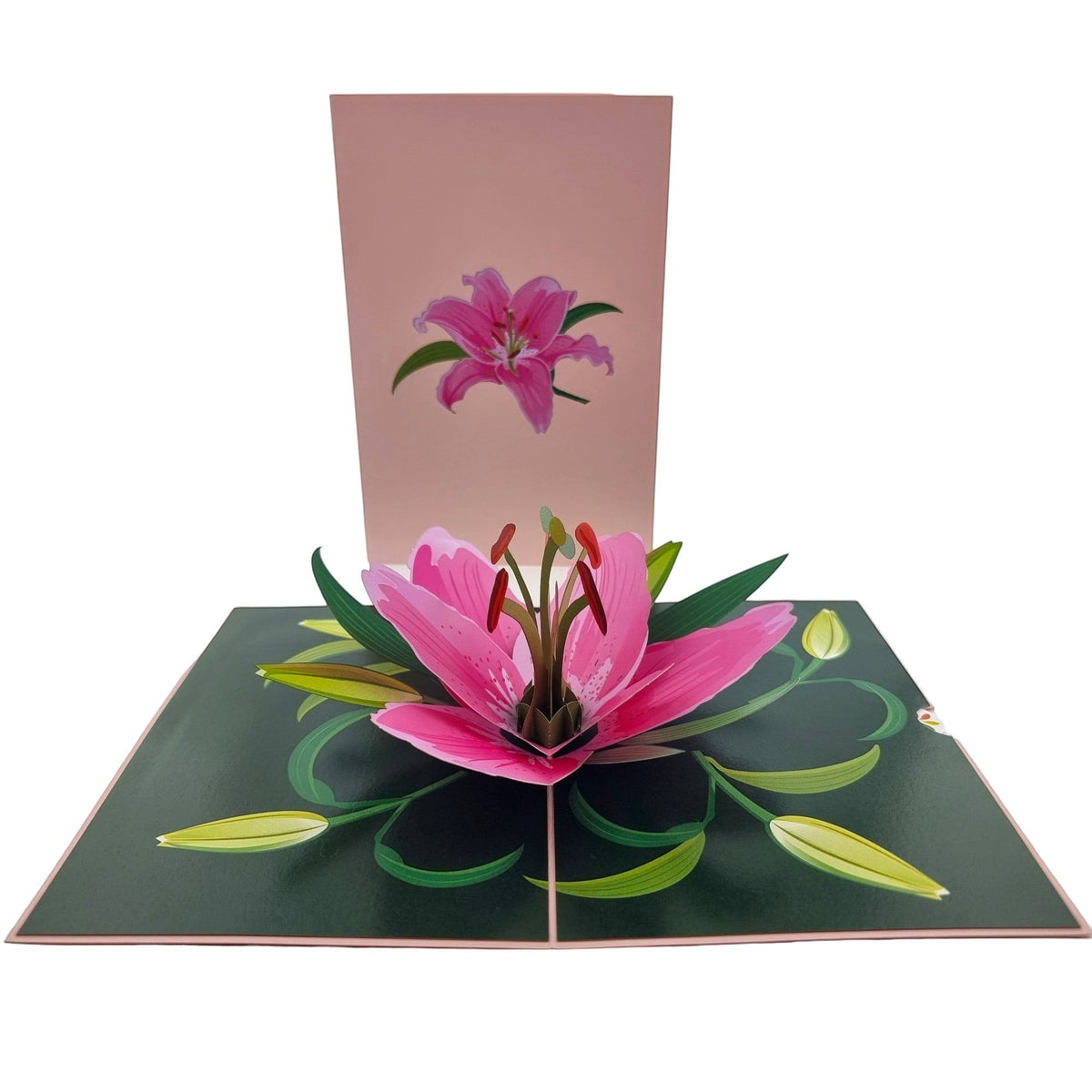 Color Pop Cards pink lily pop up card with illustration on front and 3D bloom inside. Blank interior.